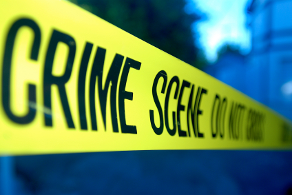 Understanding and addressing crime in the workplace